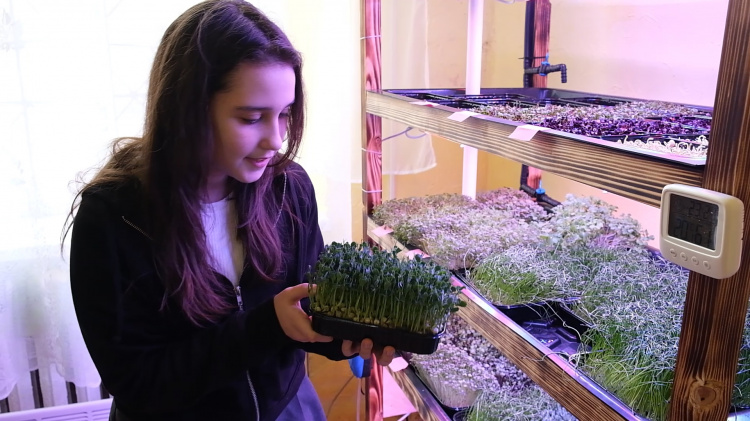 Бізнес-конструктор «Розумний город»: криворізькі школярі завдяки вирощеній мікрозелені донатять на ЗСУ