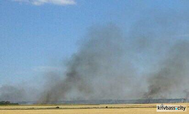 Возле Кривого Рога масштабный пожар: горят поля на большой территории (ФОТО)