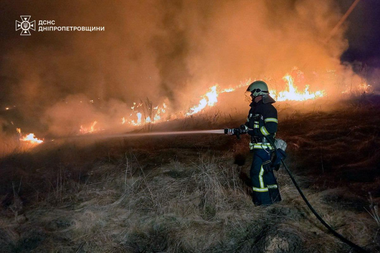 На Дніпропетровщині затримали підпалювачів сухостою у природних екосистемах: що їх очікує