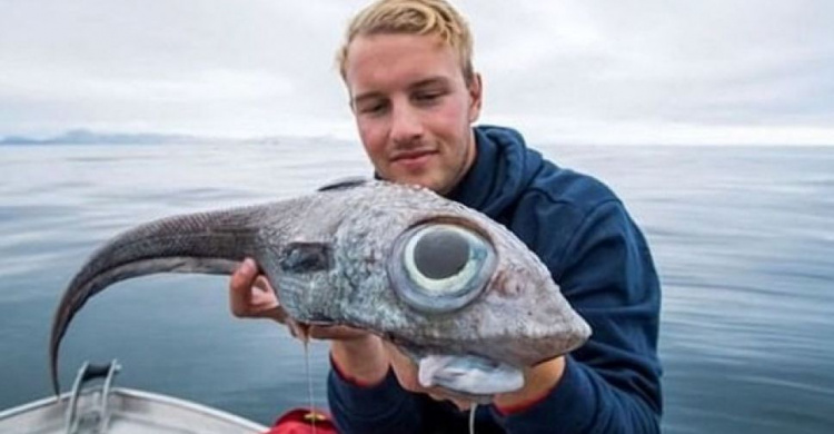 Рыбак поймал "глазастого динозавра" (ФОТО)